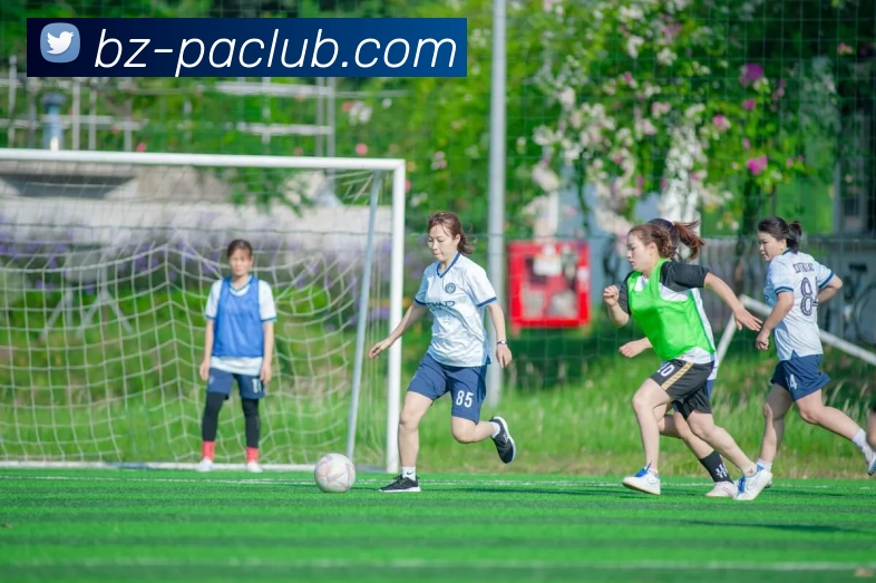 App Interface Preview