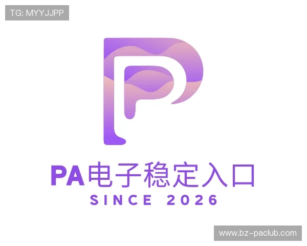 介绍PA电子稳定入口